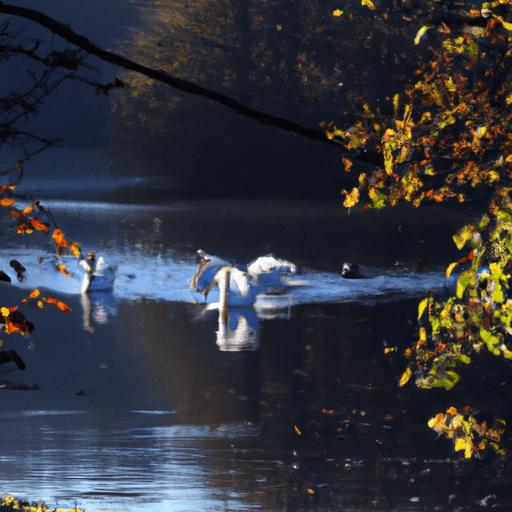 The Silent Song of Swans - Climate Change's Influence on Migratory Patterns